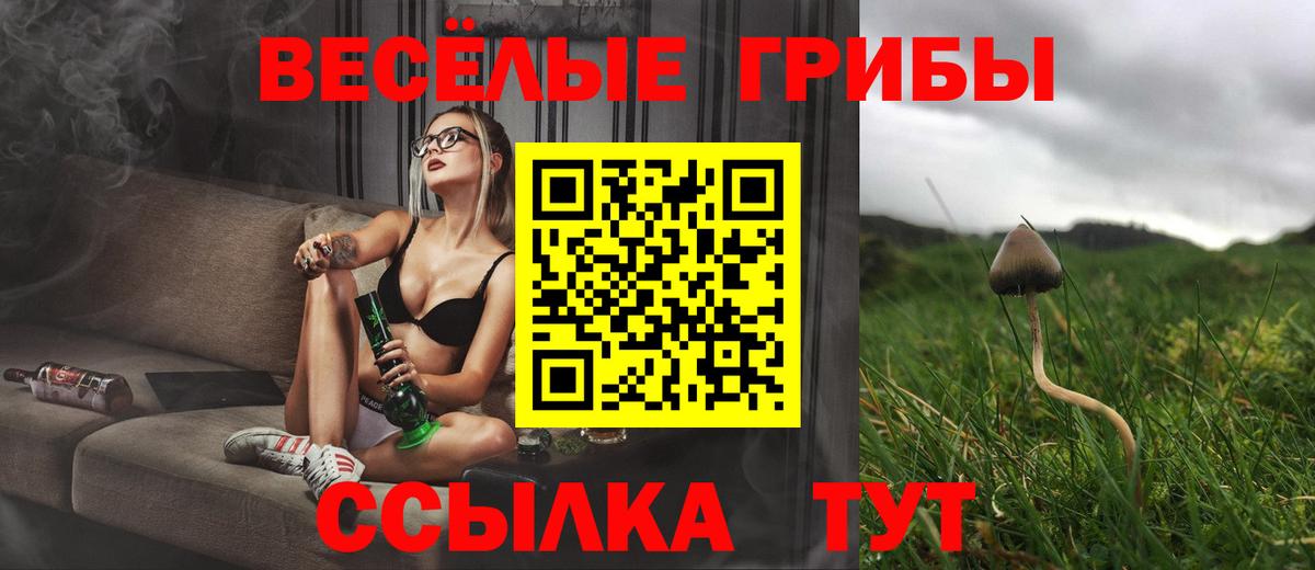 Псилоцибиновые грибы GOLDEN TEACHER  Вход с VPN  Канаш 